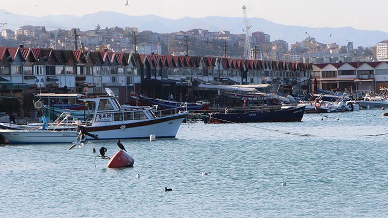 Devletin malı 7 milyona satılıyor İş adamlarına tapusuz yalı oluyor