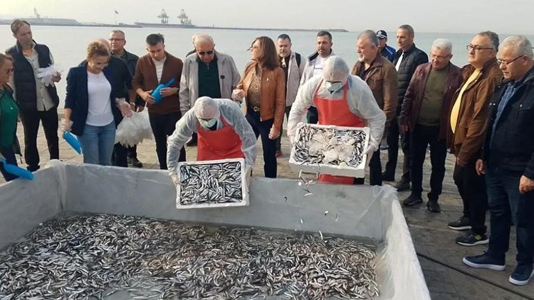 Fiyat düştü, vatandaş akın etti Paket paket şehir dışına da gönderiliyor