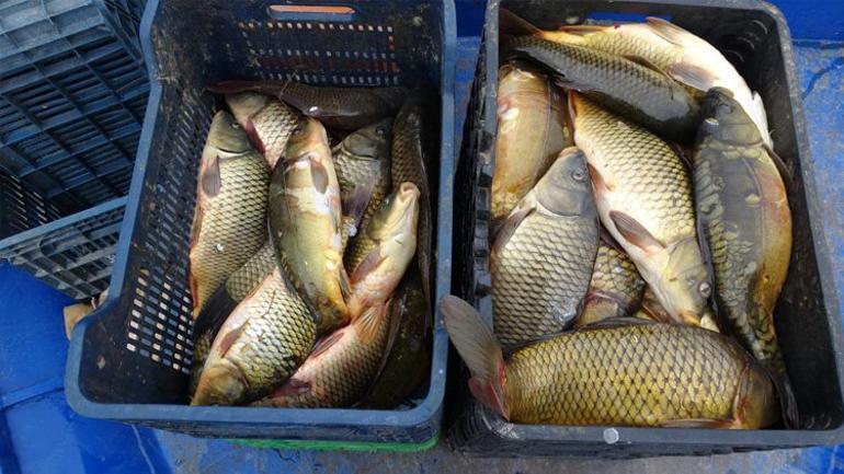 Deniz olmayan kentten tonlarca balık ihracatı