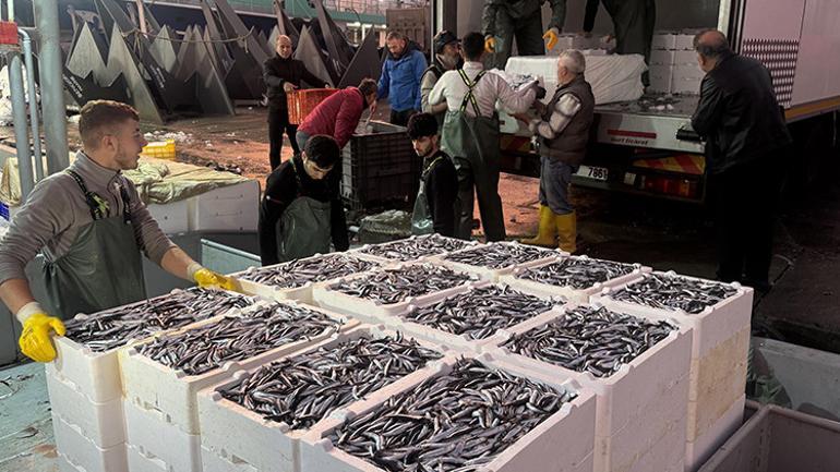4 yıldır böylesi olmuyor Fiyatı 150 liradan 50 liraya düştü, vatandaşın yüzü güldü
