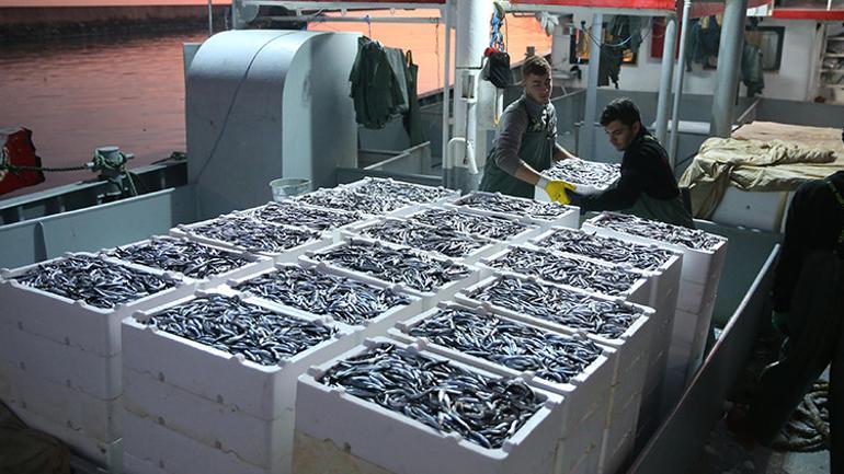 4 yıldır böylesi olmuyor Fiyatı 150 liradan 50 liraya düştü, vatandaşın yüzü güldü