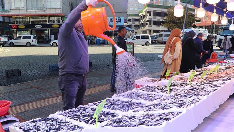 Fiyatlar dip yaptı, çocukları için de sıraya girdiler Kasa kasa gönderiyorlar