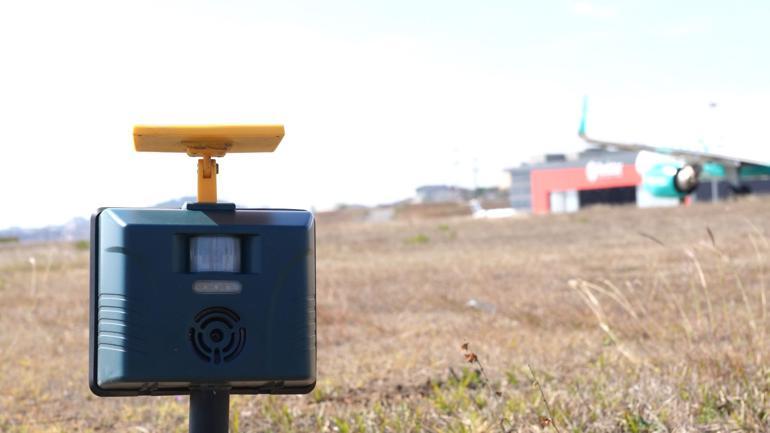 İstanbul ve Sabiha Gökçen havalimanlarında kuş sürüleri için özel önlem 7/24 görev başındalar