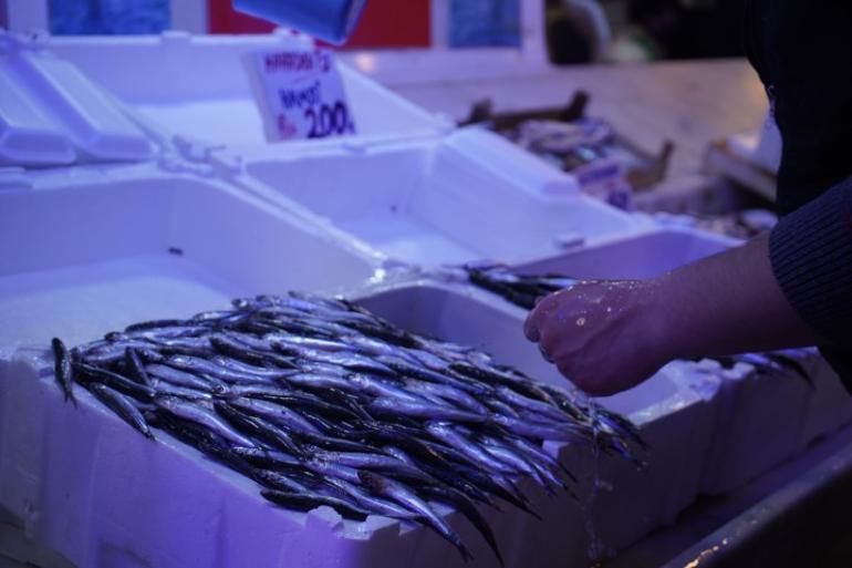 Havalar ısındı, tahtını kaybetti Gürcistan zammı vatandaşın tercihini değiştirdi