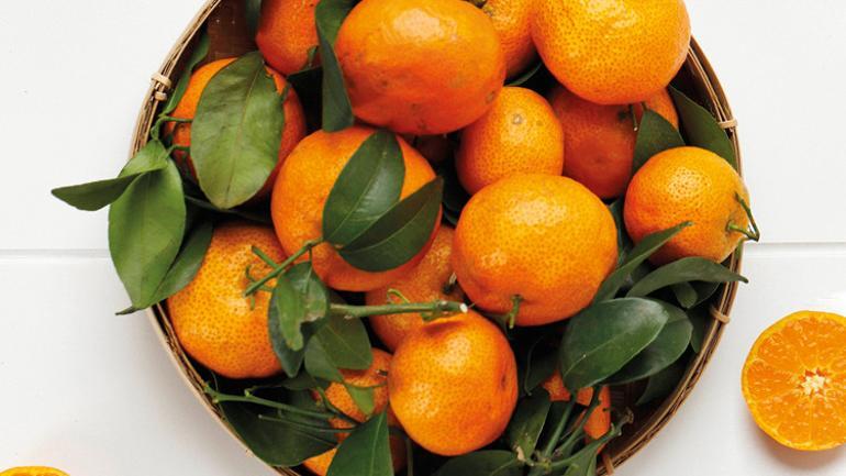 İhracat rekoru çiftçiyi güldürmedi