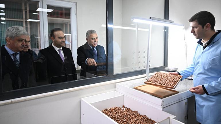 Fındık kabuğundan aktif karbona: Sakarya’da 52 milyon dolarlık dev proje