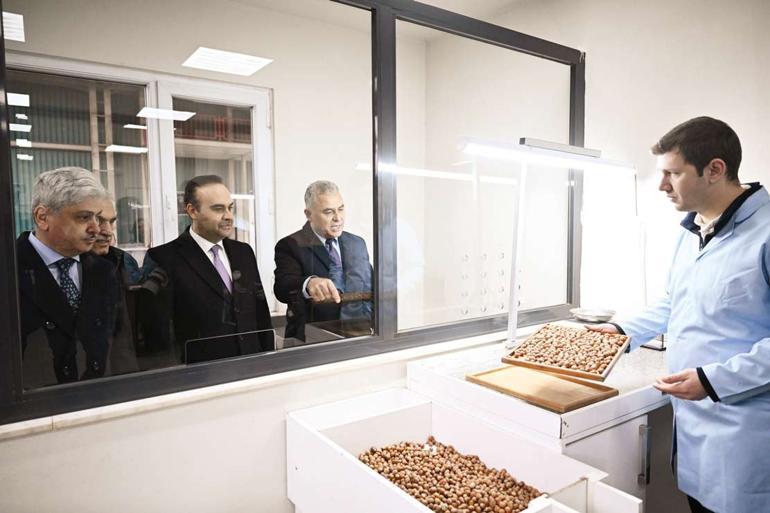 Fındık kabuğuna 52 milyon dolarlık yatırım