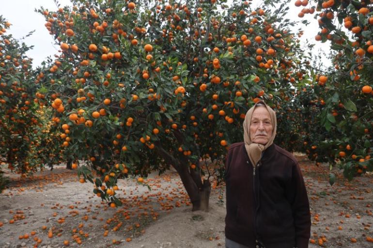 Çiftçi ücretsiz verdi, yüzüne bakan olmadı Toprak turuncuya döndü