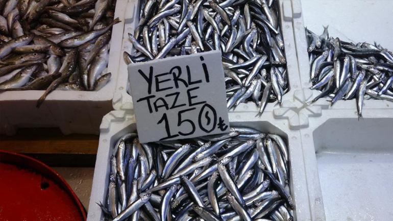 1,5 aylık hasret sona erdi, fiyatlar vatandaşın yüzünü güldürdü