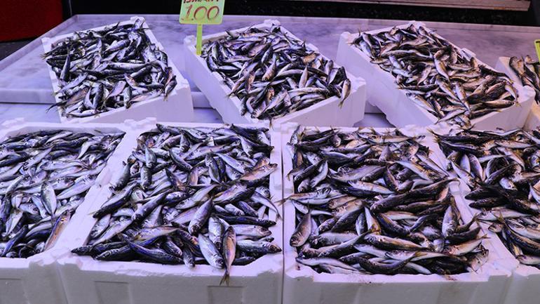 Bolluk fiyatlara yansıdı Sezonun gözdesi oldu