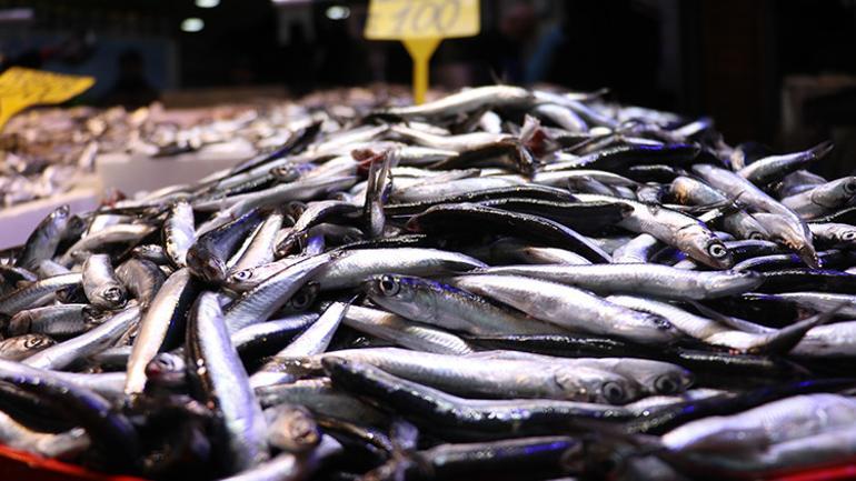 Ramazanda denizden gelen bereket Fiyatlar yüzleri güldürdü