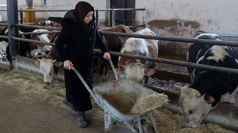 Şehirden köye gurur veren dönüş Devlet desteği ile hayallerine kavuştu