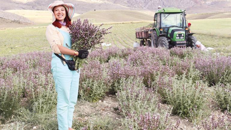 Kadınlar toprakla güçleniyor... Tarımda kadınların üretim hikâyeleri çoğalıyor