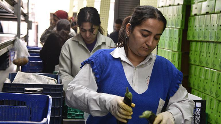 Savaş dengeleri değiştirdi, Rusya sorunu Türkiye ile aştı