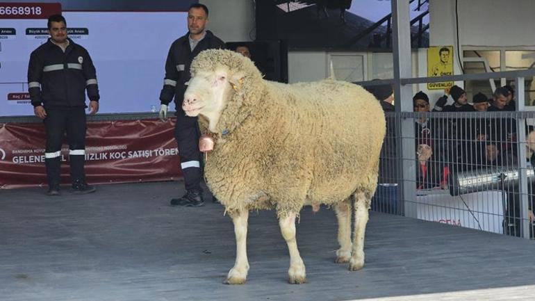Lüks otomobil fiyatına koç Fiyatı dudak uçuklattı