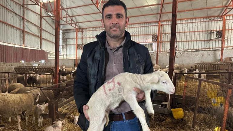 Rekor fiyata satıldı, yavruları için 150 kişi sıraya girdi