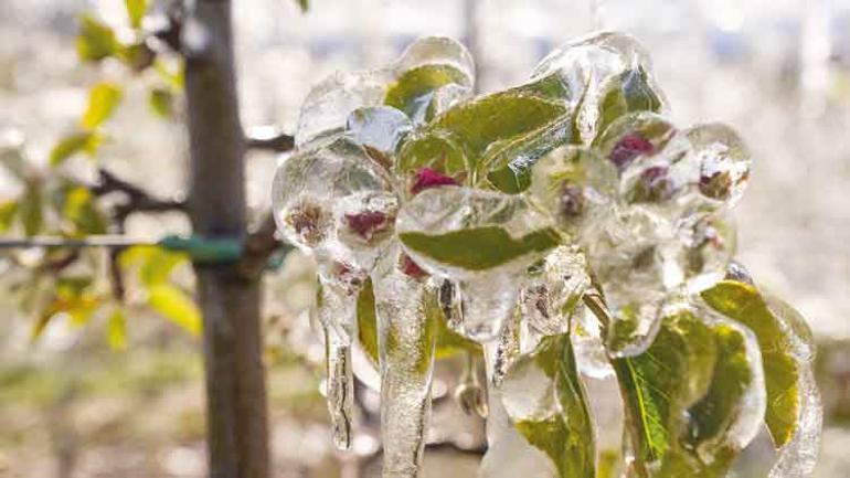 Tarımda kritik gece