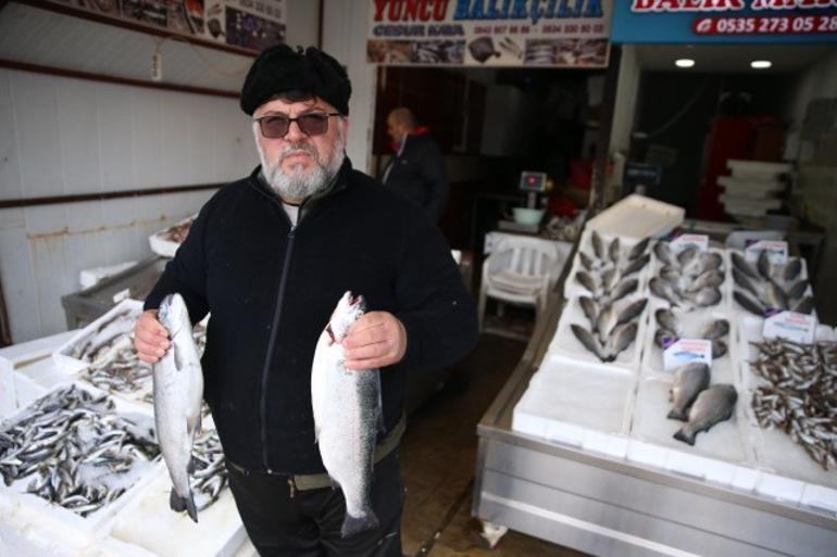 Karadeniz’de dengeler değişti, bolluk fiyatları düşürdü