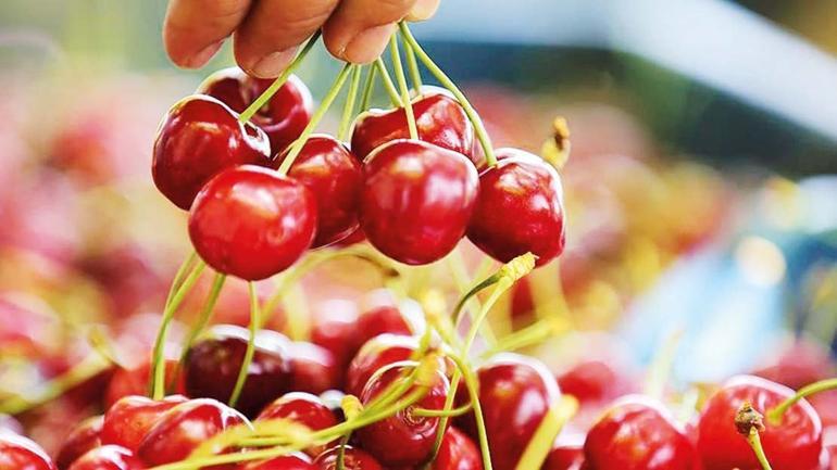 Umutlar çiçek açtı