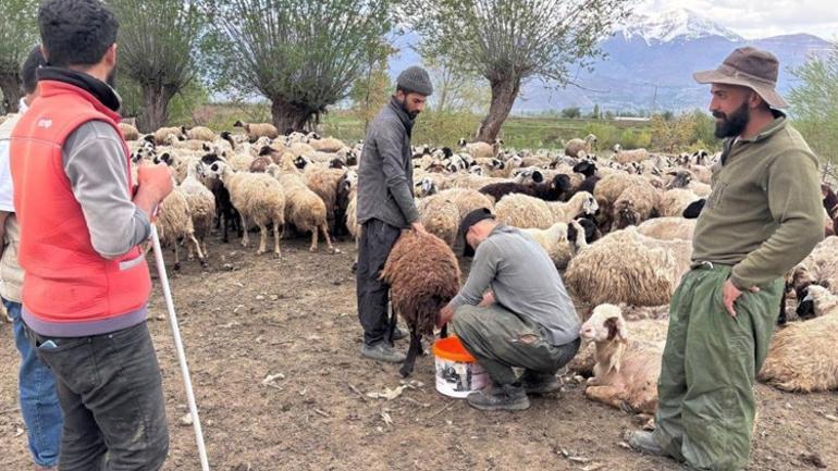 Türkiye’de bir ilk Asgari ücretle işe başladılar