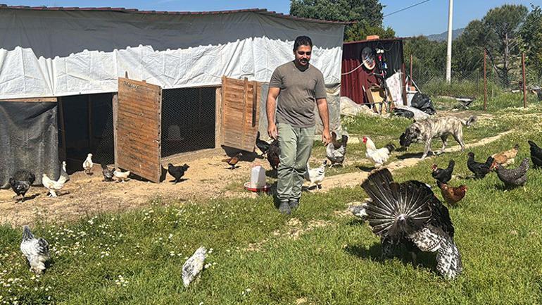 Beyaz yakadan çoban değneğine: Zor diyenlere inanmayın