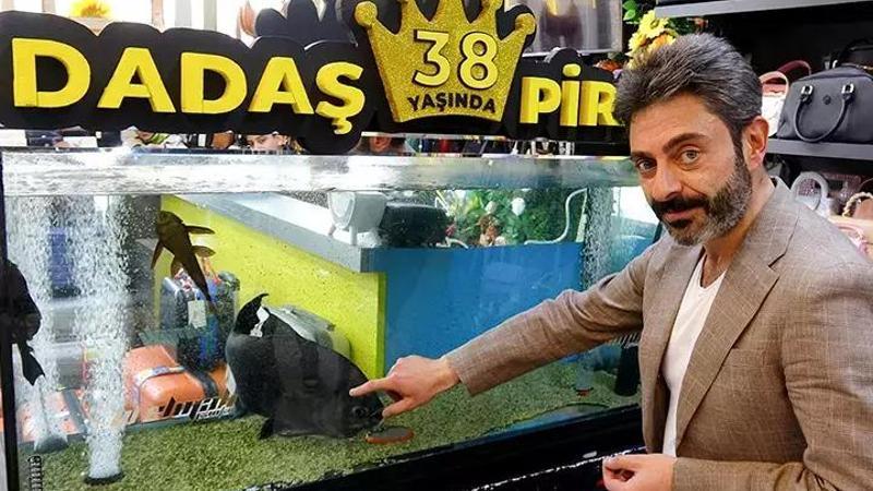 'Dadaş' isimli pirana için ilginç doğum günü kutlaması