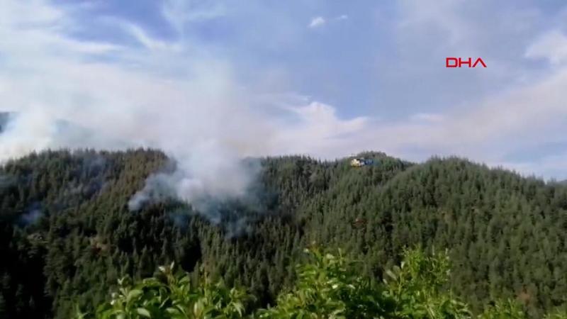 Kahramanmaraş'ta orman yangını