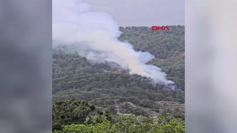 Kumluca’da orman yangını