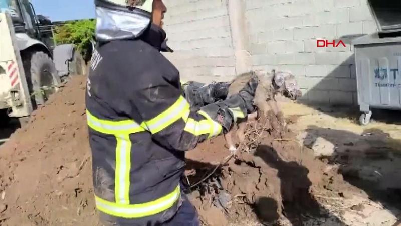 Yürekleri ısıtan görüntü... Su kuyusuna düşen yavru köpek kurtarıldı