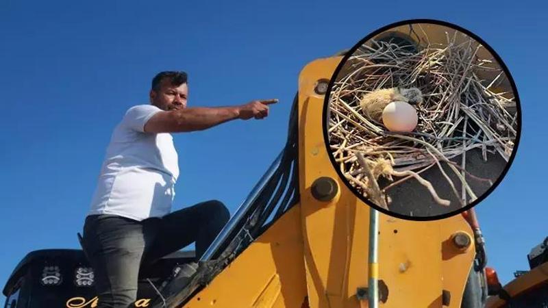 Binlerce liralık kaybı göze alan operatör, kumru yuvası bozulmasın kepçesine kontak vurmuyor!