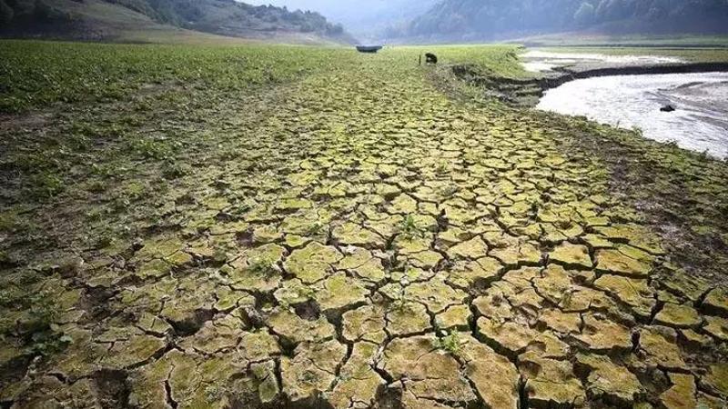 Kuraklık, gıda ve su kıtlığı kapıda! Türkiye için 2050 yılı zor geçecek
