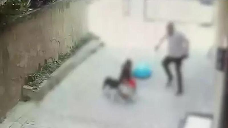 Ataşehir’de pitbull’un saldırdığı 7 yaşındaki Ahmet’in annesi: Tasması yok, boynunda ipi yok