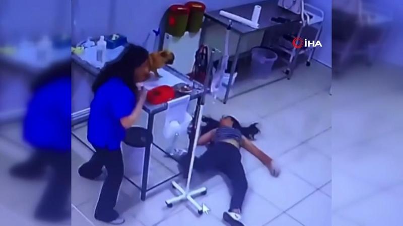 Veteriner kliniğinde panik anları! Köpeğini tedavi ettiren kadın bir anda bayıldı