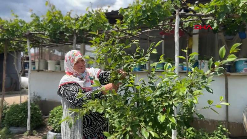 Çöpköy Mahallesi ismiyle dikkat çekiyor, halk değişmesini istemiyor