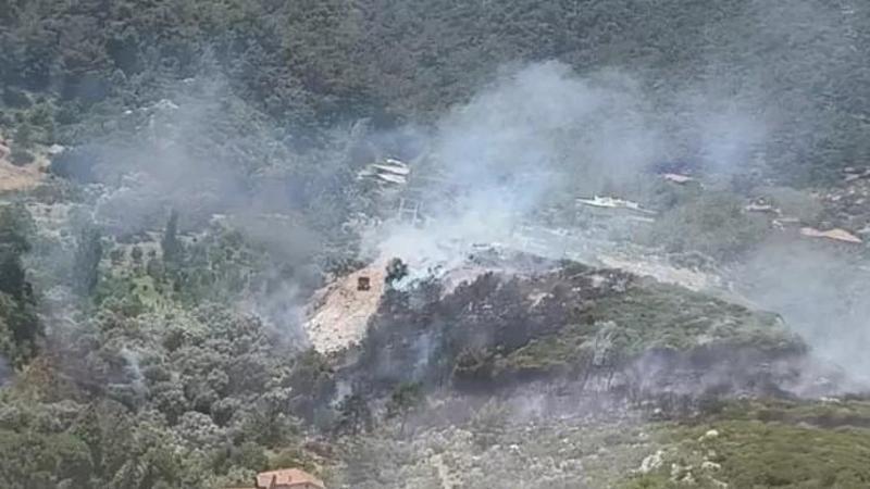 İzmir’in Kemalpaşa ilçesinde orman yangını