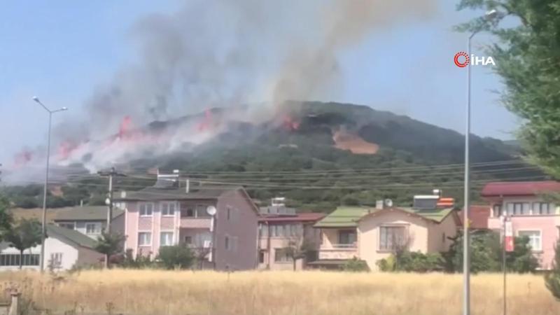 Niksar'da orman yangını