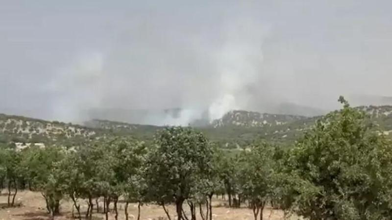 Mardin’de orman yangını
