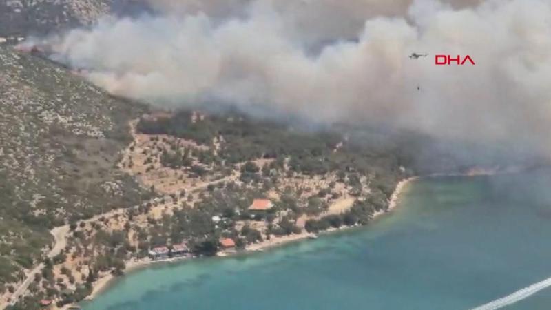 İzmir Foça'da orman yangını