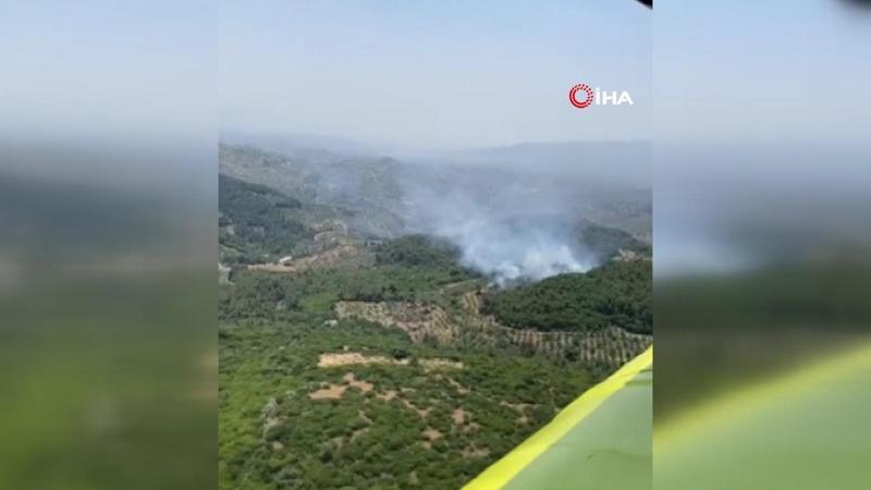Aydın Germencik'te orman yangını