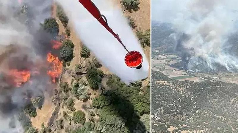 Aydın’da tarım arazisinde yangın paniği