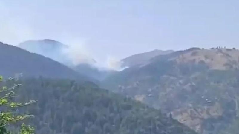 Adana’da orman yangını
