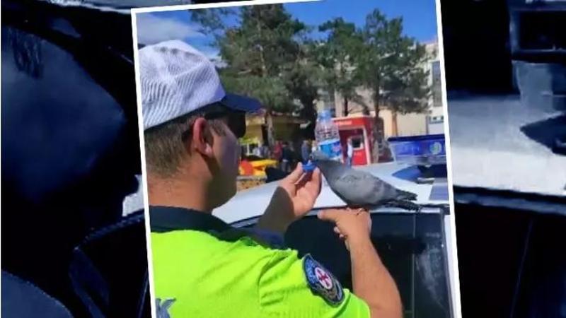 Güvercine su içiren trafik polisi merhametiyle yürekleri ısıttı