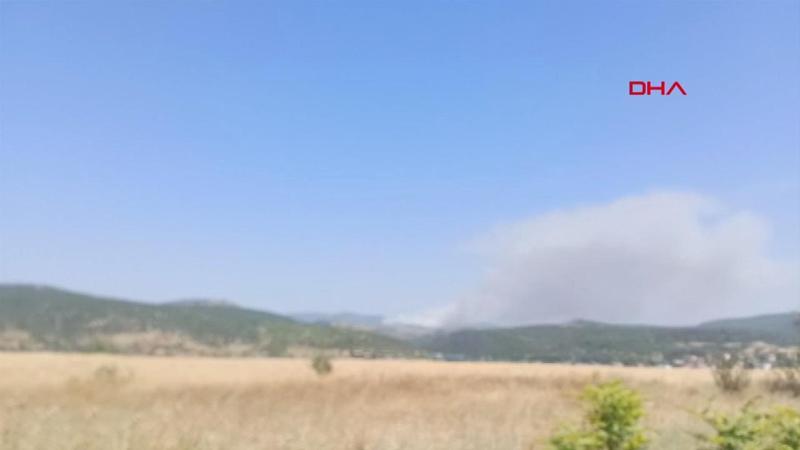 Balıkesir’in Kepsut ilçesinde orman yangını