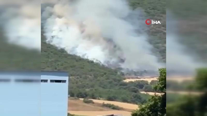 Bursa Yenişehir'de orman yangını
