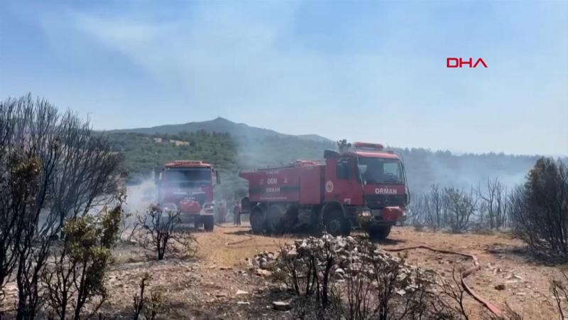 Uşak’ta makilik yangını