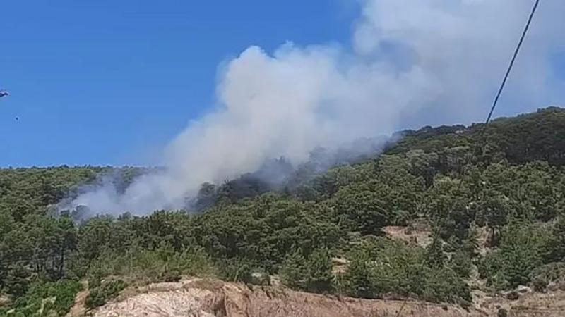 Antalya’nın Kumluca ilçesinde orman yangını