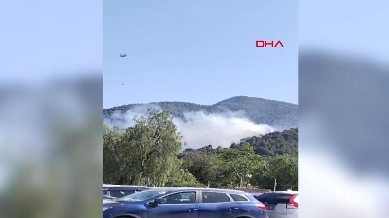 İzmir Foça'da orman yangını