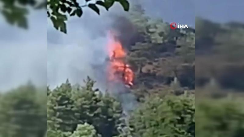 Muğla Köyceğiz’de orman yangını
