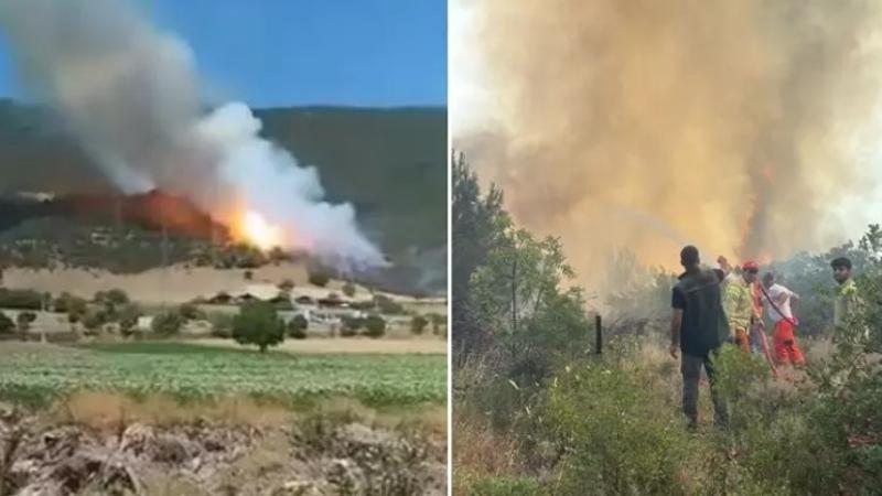 Bursa’nın Yenişehir ilçesinde orman yangını