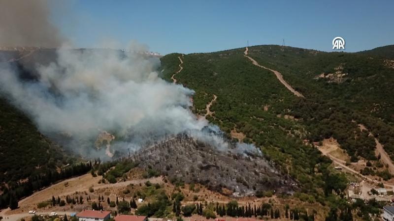 Kocaeli'nin Körfez ilçesinde orman yangını